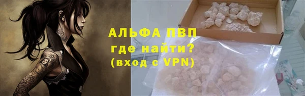 прущий лед Бородино