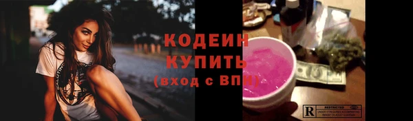 прущий лед Бородино