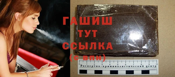 прущий лед Бородино