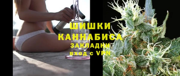 прущий лед Бородино